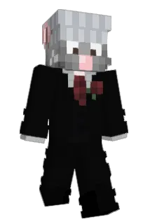 saintzdid Minecraft avatar full body