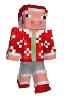 saj1717 Minecraft avatar full body