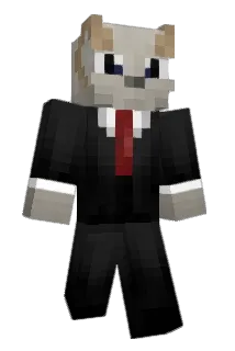 sak121 Minecraft avatar full body