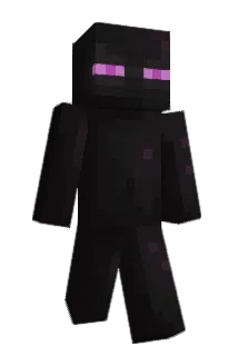 sal1n3 Minecraft avatar full body