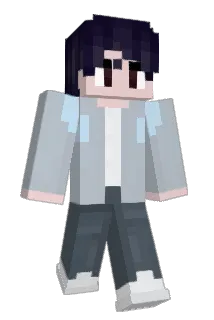 sal1nka Minecraft avatar full body