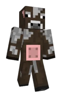 salacow96 Minecraft avatar full body