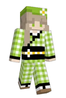 saladbaa Minecraft avatar full body
