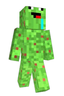 saladifier Minecraft avatar full body