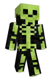 salalads Minecraft avatar full body