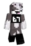 salempurrs Minecraft avatar full body