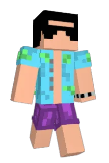 salimino Minecraft avatar full body