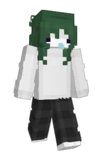 sallynewba Minecraft avatar full body