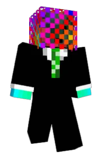 salmon78 Minecraft avatar full body