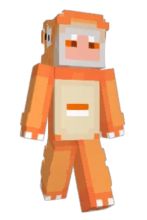salmon_2999 Minecraft avatar full body