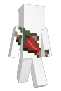 salmondafsh Minecraft avatar full body