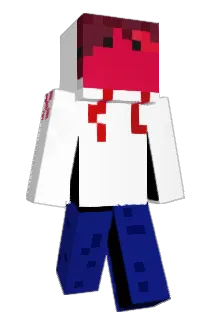 salox5 Minecraft avatar full body