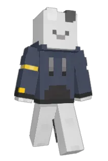 salt1221 Minecraft avatar full body