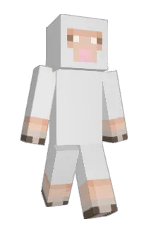 salt834 Minecraft avatar full body