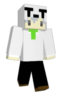 salt_1006 Minecraft avatar full body