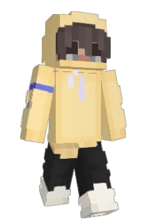 salt_JY Minecraft avatar full body