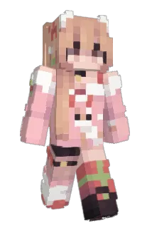 saltedff Minecraft avatar full body