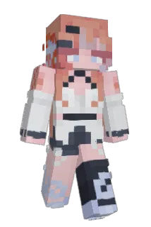 saltedfluff Minecraft avatar full body