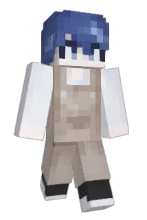 salty_g16 Minecraft avatar full body