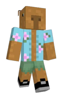 salva998 Minecraft avatar full body