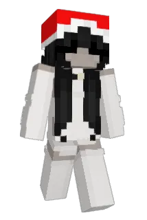 salydocus Minecraft avatar full body