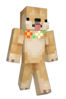 samicatt Minecraft avatar full body