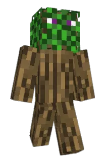 samlilly Minecraft avatar full body