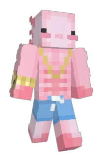 samy23023 Minecraft avatar full body