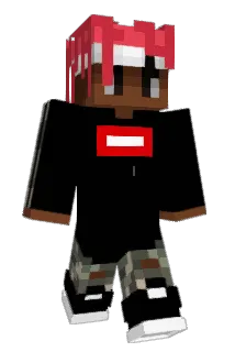 sanderboas Minecraft avatar full body