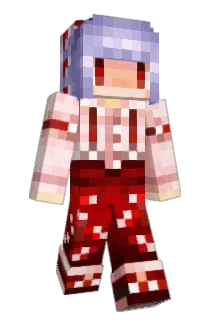 sandora4 Minecraft avatar full body