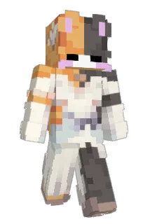 sansan_awa Minecraft avatar full body