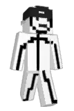 sansfox Minecraft avatar full body