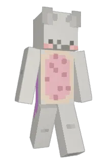 saryumsd Minecraft avatar full body