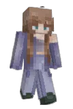 sashavis Minecraft avatar full body