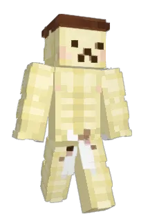 sassysocks99 Minecraft avatar full body