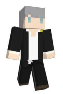 satellite1022 Minecraft avatar full body