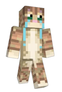 saucymadethat Minecraft avatar full body