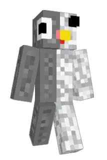 saunakarva1 Minecraft avatar full body