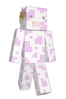 sauvyyb Minecraft avatar full body