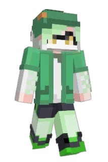 sawms Minecraft avatar full body