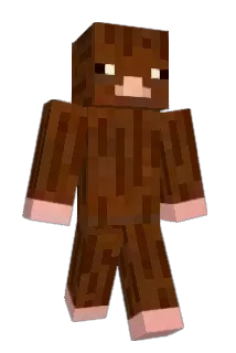sb_yj Minecraft avatar full body