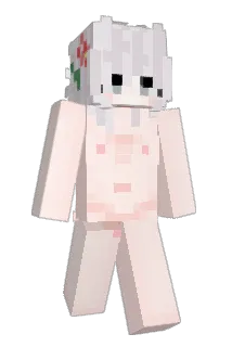 sbnc Minecraft avatar full body