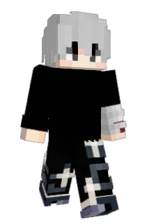 Minecraft-Avatar von sburadxv: ganzer Körper