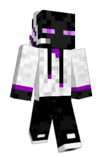 schlc01 Minecraft avatar full body