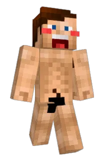 schoenholz Minecraft avatar full body