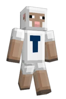 schreiberty Minecraft avatar full body