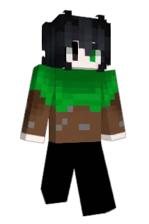 schwanke Minecraft avatar full body