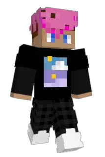 schweppo Minecraft avatar full body