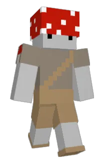 sck Minecraft avatar full body