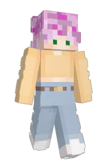 scoochalittle Minecraft avatar full body